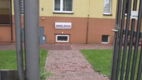 Dwulatka w Oknie Życia