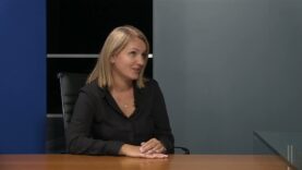 Pszczoły nie znają granic