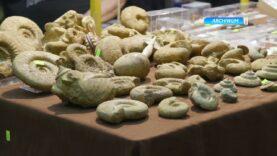 Giełda biżuterii, wyrobów jubilerskich w Klubie Politechnik