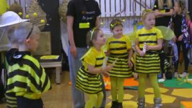 Pszczeli Bal u Reymonta