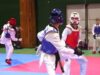Camp Taekwon-do