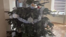 Co zrobić z choinką