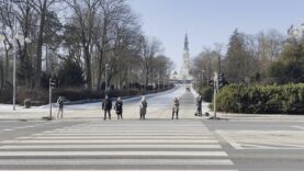 Gra w zielone czyli ile czeka się na przejściu dla pieszych na końcu Al. NMP