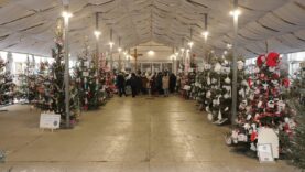 Konkurs na Wieczernikową Choinkę rozstrzygnięty