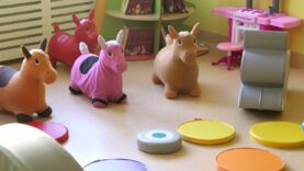 Ruszyła rekrutacja do Reksia