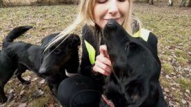 Daj mi dom   Nana i Nineza