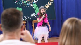 Serce to jest muzyk czyli piosenka jest dobra na wszystko