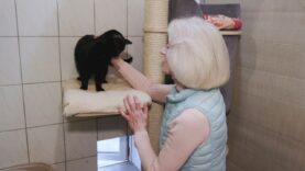 Daj mi dom – Nokturn