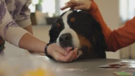 Otwarte dni w CPDNiJR