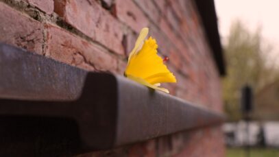 W hołdzie Bohaterom Getta Warszawskiego