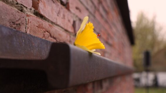 W hołdzie Bohaterom Getta Warszawskiego