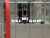 Daj mi dom – Kora i Kiara, Nokturn, Pusia