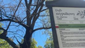Pod Dębem Konstytucji uczczono Dzień Flagi