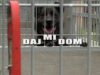 Daj mi dom – Kawa, Kostek, Rambuś i Neruś
