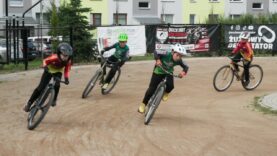 Narodowy Dzień Sportu z Lwami